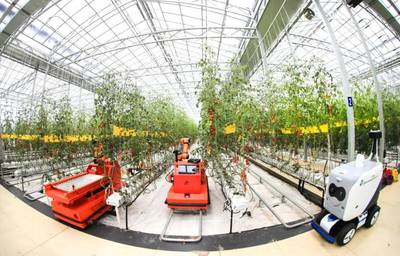 點點手機就能管理大棚，濰坊壽光以數字化賦能蔬菜產業升級